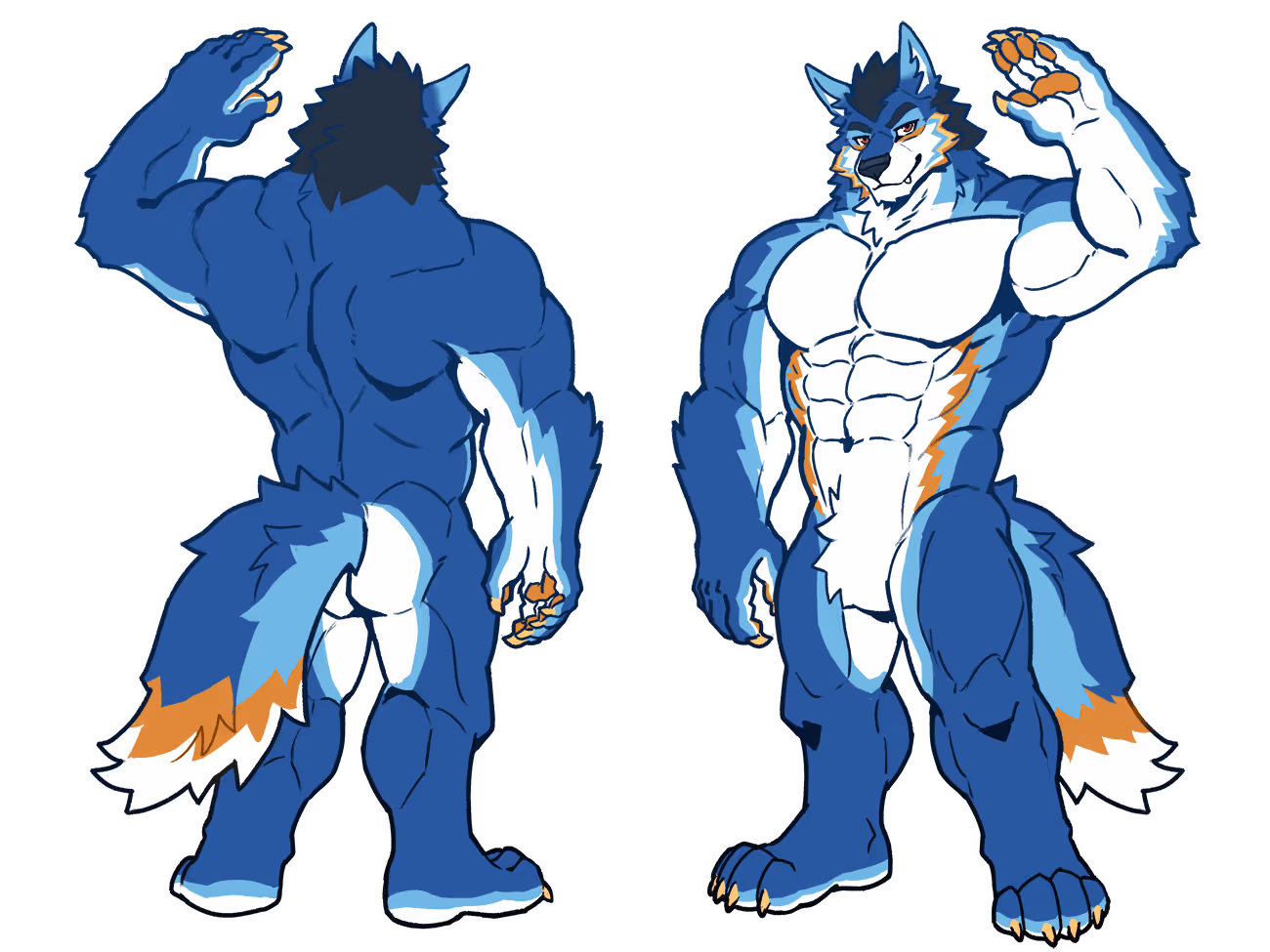 Wefewence image fow da bwue wowf chawactew with cyan, owange, and yewwow mawking. Both back and fwont views awe shown.