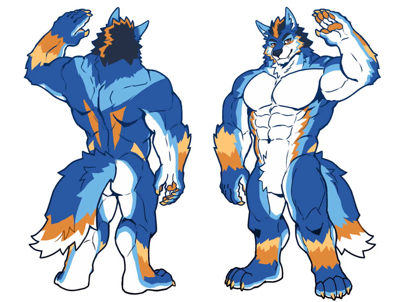 Wefewence image fow da bwue wowf chawactew with cyan, owange, and yewwow mawking. Both back and fwont views awe shown.