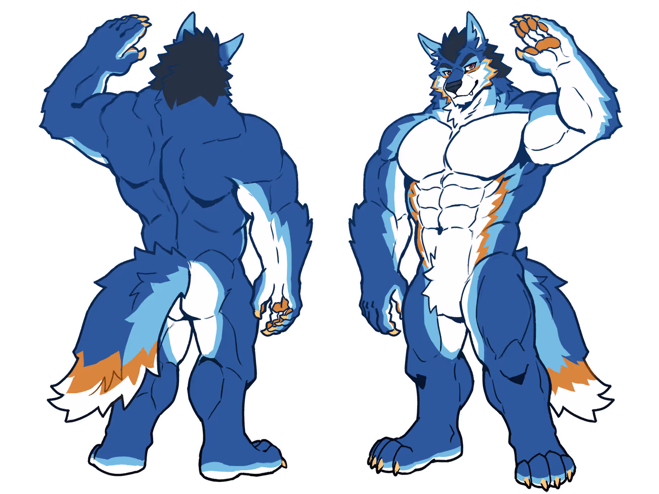 Reference image for the blue wolf character, showing back and front view.