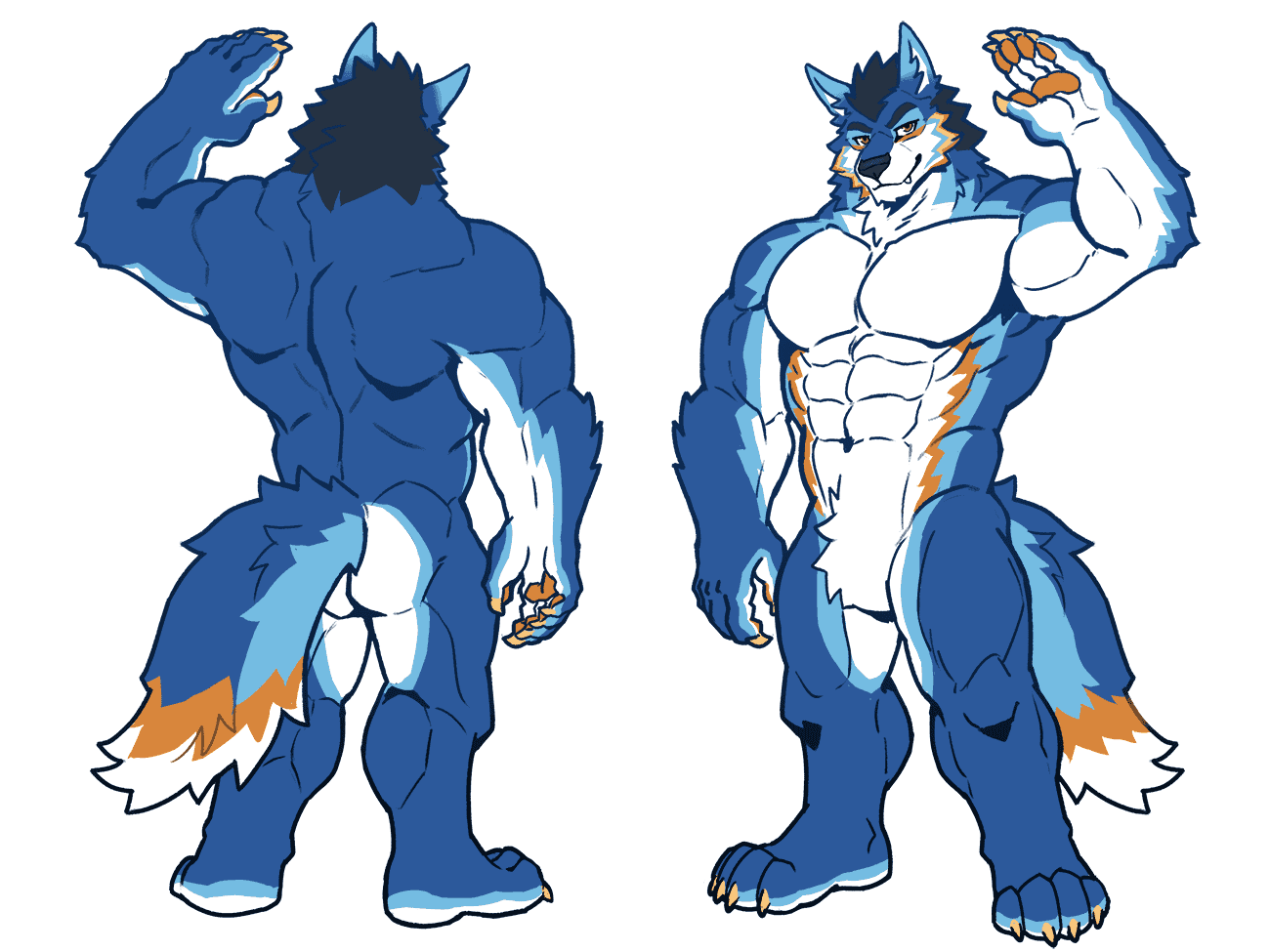 Reference image for the blue wolf character, showing back and front view.